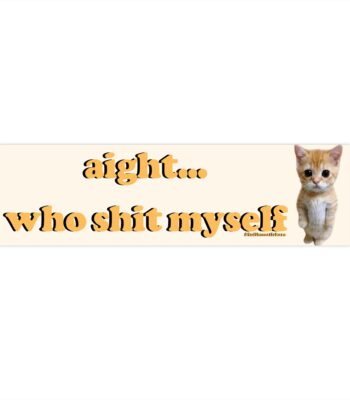 Aight Who Shit Myself Bumper Sticker & Magnet – Funny Vinyl Design