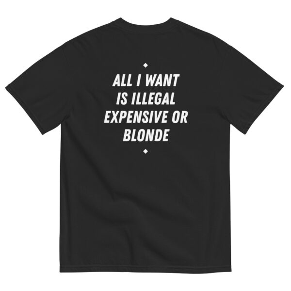 All I Want is Expensive Blonde Tee – Bold Unisex Cotton Shirt
