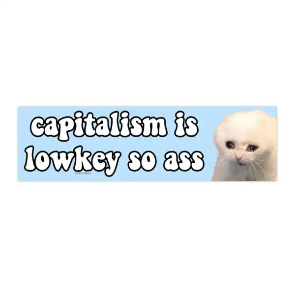 Capitalism is Lowkey So Ass Bumper Sticker – Funny Vinyl Design