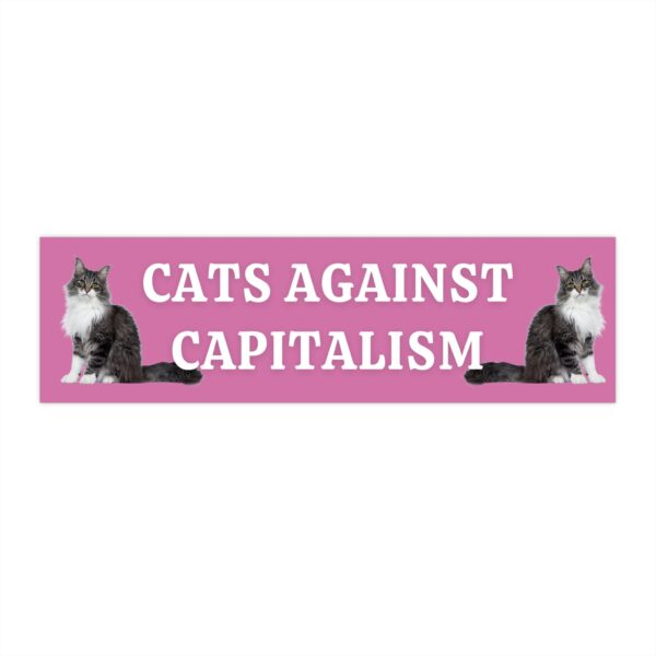 Cats Against Capitalism Bumper Sticker – Durable Funny Car Decal