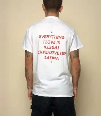 Everything I Love Is Illegal, Expensive or Latina Tee – Unisex Cotton Shirt