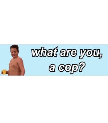 Gibby Icarly "What are you, a cop?" Bumper Sticker & Magnet - Funny Vibe