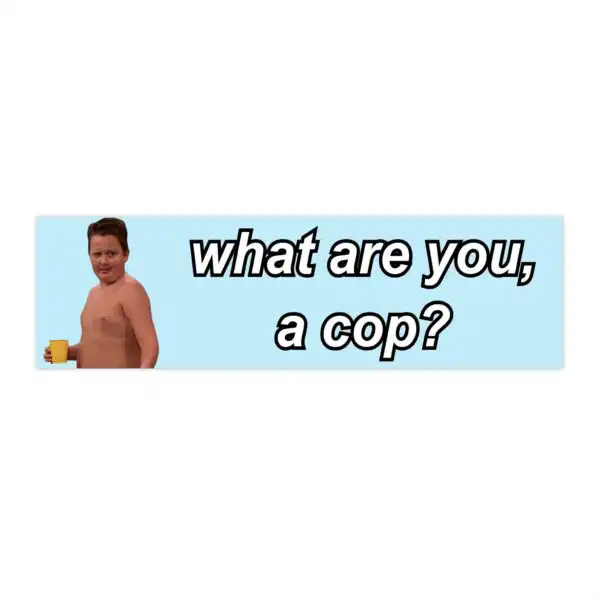 Gibby Icarly "What are you, a cop?" Bumper Sticker & Magnet - Funny Vibe
