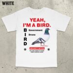 Government Pigeon Puns Tee – Vintage Funny Saying Shirt