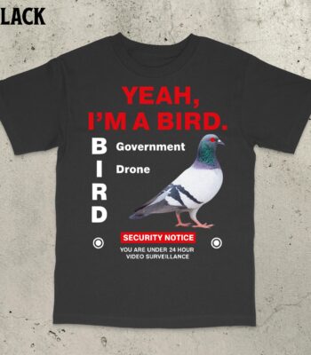 Government Pigeon Puns Tee – Vintage Funny Saying Shirt