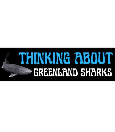 Greenland Shark Bumper Sticker – Funny Vinyl Car Decal for All Weather