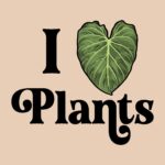 I heart plants t-shirt – alocasia leaf design for plant lovers