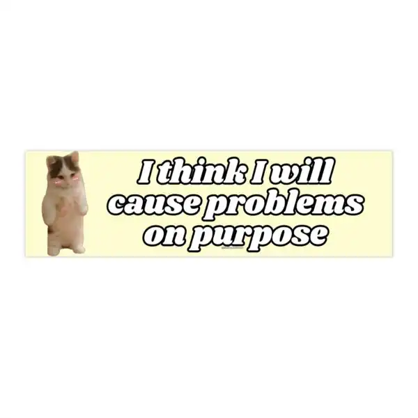 I Think I Will Cause Problems on Purpose | Funny Bumper Sticker