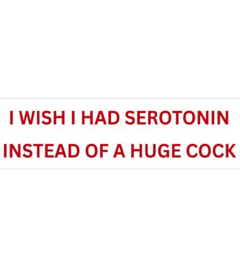 I wish I had serotonin bumper sticker – Funny vinyl design 8.7"x2.7