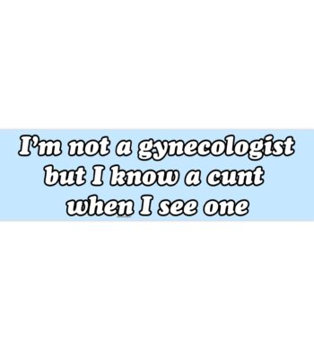 I'm not a Gynecologist Bumper Sticker - Funny Meme Vinyl Decal