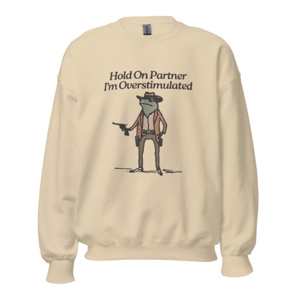 Overstimulated Frog Sweatshirt – Funny Meme Pullover for Introverts