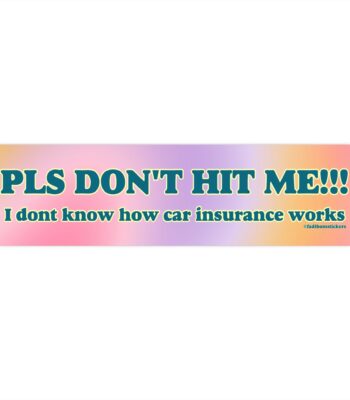 Please Don't Hit Me Bumper Sticker and Magnet – Funny Vinyl Decal