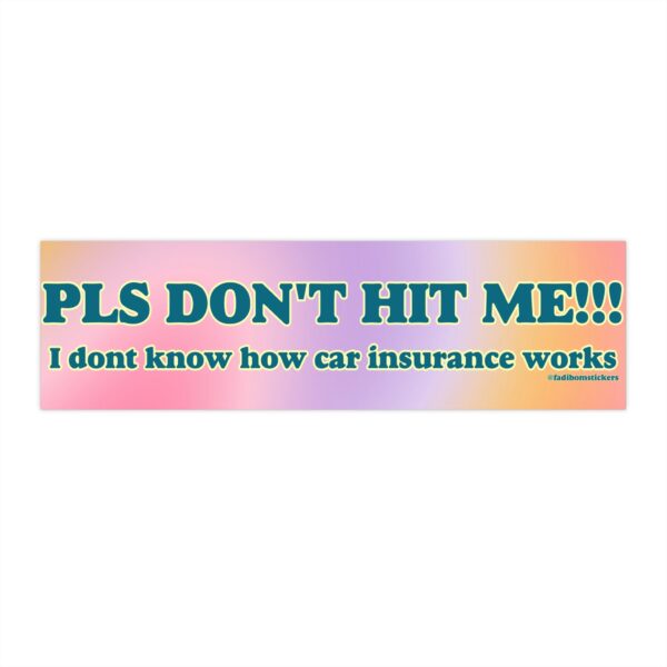 Please Don't Hit Me Bumper Sticker and Magnet – Funny Vinyl Decal