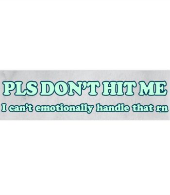 Pls Don't Hit Me Bumper Sticker & Magnet – Funny Vinyl Decor