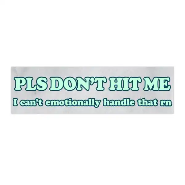 Pls Don't Hit Me Bumper Sticker & Magnet – Funny Vinyl Decor