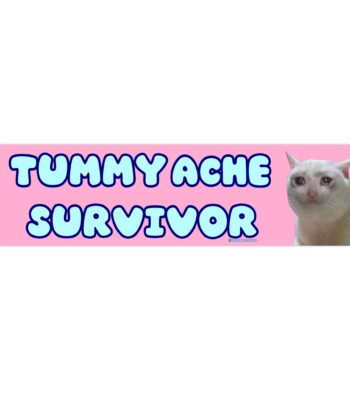Tummy Ache Survivor Bumper Sticker – Funny Waterproof Vinyl Design