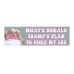 What's Donald Trump's IBS Plan | Funny Waterproof Bumper Sticker