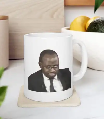 Funny Meme Mug - Why Are You Gay? Gift for Bestfriend, 11oz Ceramic